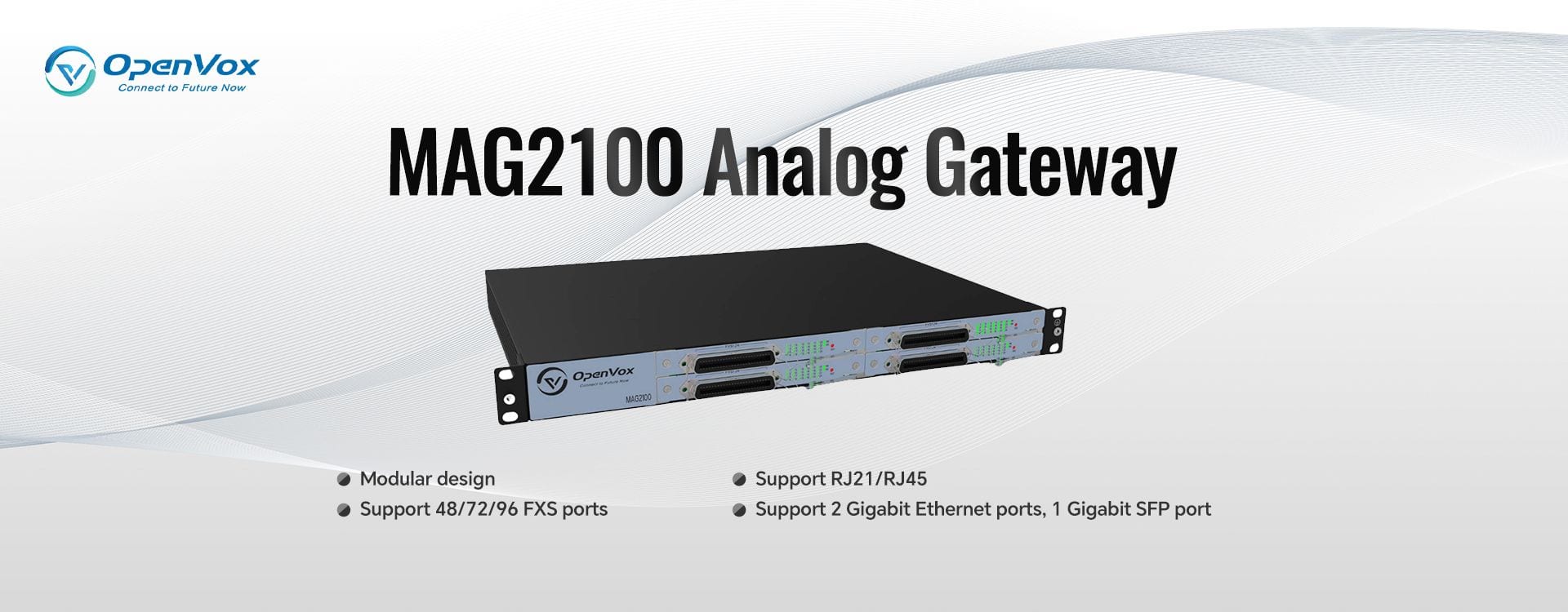 MAG2100 Analog Gateway banner