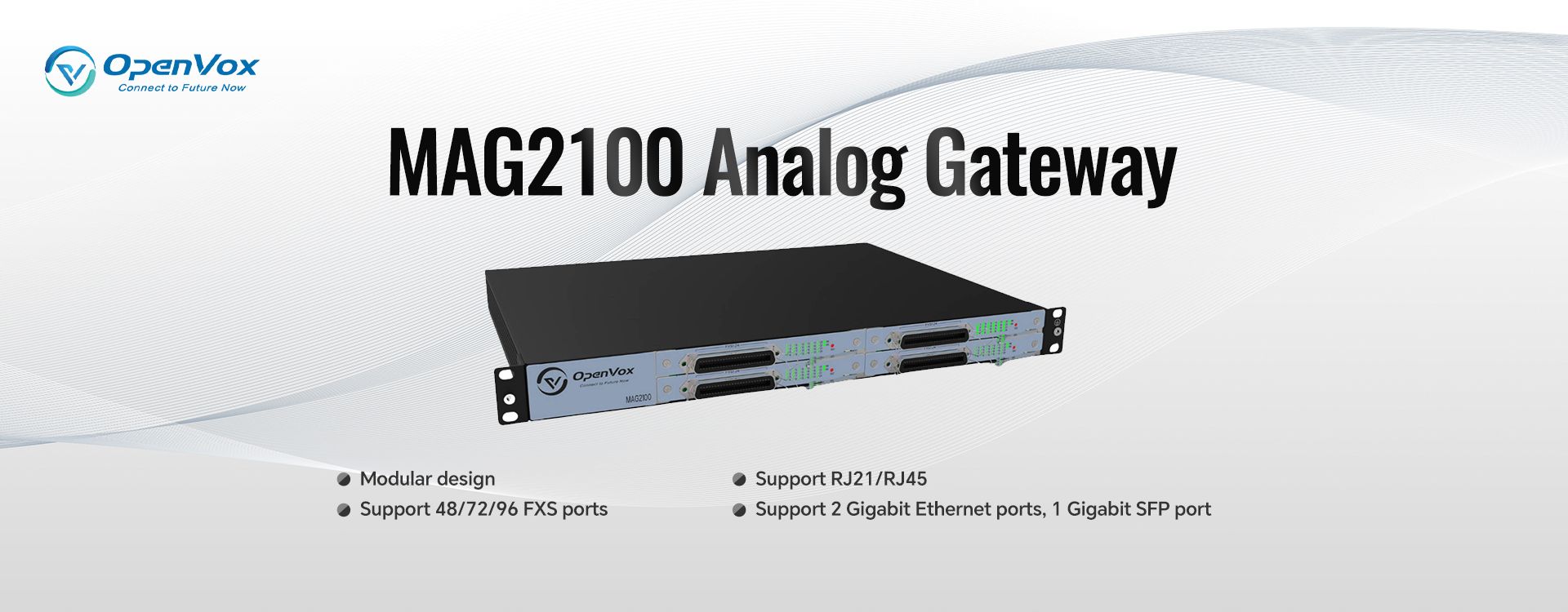 MAG2100 Analog Gateway banner